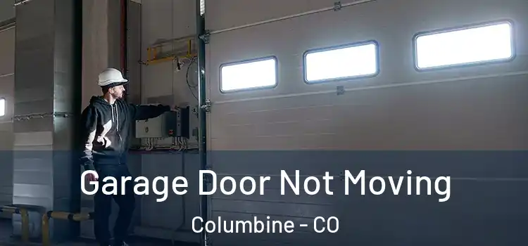  Garage Door Not Moving Columbine - CO