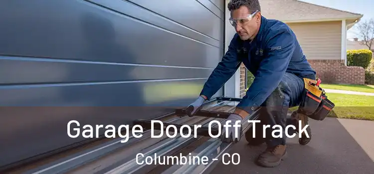  Garage Door Off Track Columbine - CO