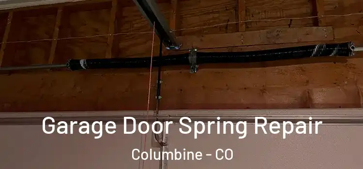  Garage Door Spring Repair Columbine - CO