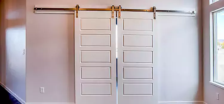 Glass Barn Door with Installation Hardware Kit Columbine
