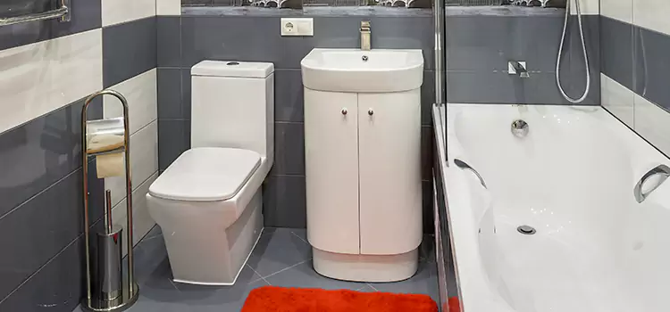 Hansgrohe Shaving Mirror Columbine