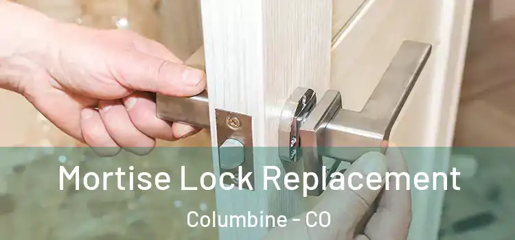  Mortise Lock Replacement Columbine - CO