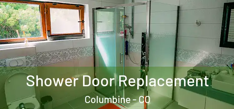  Shower Door Replacement Columbine - CO